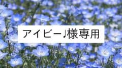 【広島東洋カープ】菊池涼介選手 下敷きのサムネイル