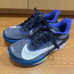 NIKE ZOOM FLY 6ランニングシューズ25.5cmのサムネイル