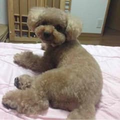 準備中！！！のサムネイル