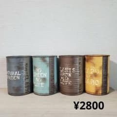 No.60リメイク缶 リメイク鉢 リメ缶 多肉植物 多肉 ジャンクガーデン