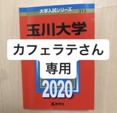玉川大学 2020年版 No.313のサムネイル