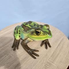 m16129194928_1.jpg?1729666938