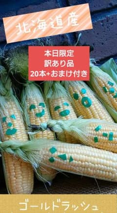 北海道産　スイートコーン　とうもろこし　ゴールドラッシュ　訳あり品20本のサムネイル