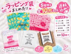 ラッピング袋 10枚セット まとめ売り ギフト袋のサムネイル