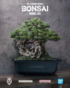 その他 Bonsai Model Kit SRL x BANDAI SPIRITS 新品SRL X BANDAI SPIRITS .BONSAI MODEL KIT - メルカリ