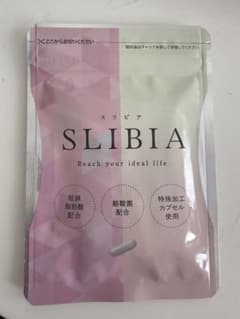 スリビア 乳酸菌酪酸菌 30粒【2025年9月期限】①のサムネイル
