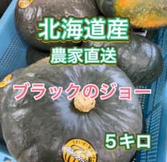 【北海道産 農家直送】今年も人気！ブラックのジョー 5キロのサムネイル