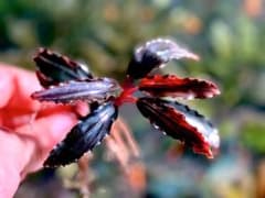 m16131477570_1.jpg?1758720239