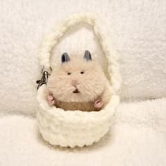 はむにぎり‪☆お出かけバッグのサムネイル