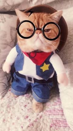 ひねりforぽんpさんのサムネイル