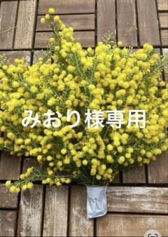 ミモザゴールデン生花 ドライフラワー 花材 スワッグ リース ハー