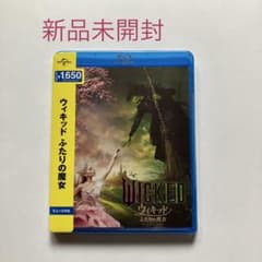 위키드 두 사람의 마녀 스페셜 프라이스('24미) Blu-ray