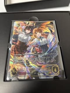 シャドウバース エボルヴ アン＆グレア SP(箱付) - メルカリ