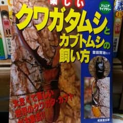 楽しいクワガタムシとカブトムシの飼い方のサムネイル