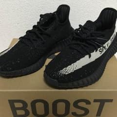 イージーブースト 350v2のサムネイル