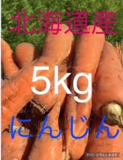北海道産にんじん5kg - 2