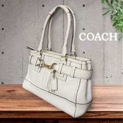 mm 様COACH コーチ ハンプトンズ レザー キャリーオール 10212 G