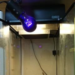 爬虫類ケージフルセットのサムネイル