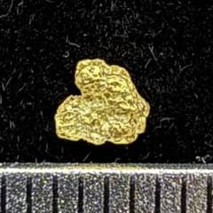 砂金 特大 天然物 【アラスカ産】#123鑑定済 0.11g高純度 - メルカリ