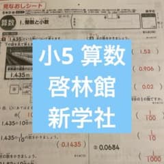 令和7年度 最新版 小学5年生算数 カラーテスト答え 正進社 啓林館 欠番なし 小学5年 算数 カラーテスト令和7年度 21枚分 啓林館 新学社 最新