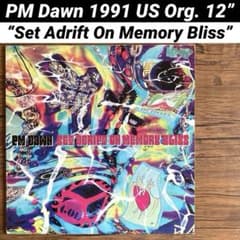 PM Dawn Set Adrift On Memory 12” レコードのサムネイル