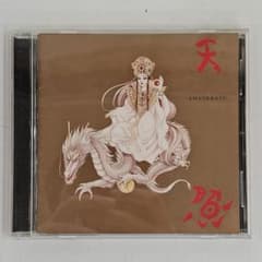アマテラス 美内すずえ☆スピリチュアルソングブック CD 天照 - メルカリ