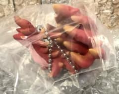 魔法生物図鑑 火竜 ファンタジーワールド フィギュア 202511061250