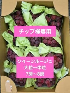 ☆ハウス農家直送☆クイーンルージュ☆大粒　厳選☆2房☆朝採りその日のうちに発送☆ ☆朝採り農家直送☆クイーンルージュ☆厳選☆予約制☆2Lサイズ9房〜11