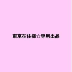 ちいかわ ハチワレ うさぎ 滋賀限定 忍者ぬいぐるみ 忍者マスコット