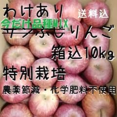 わけあり食べ比べりんごバラ詰め箱込10kg《特別栽培》のサムネイル