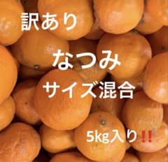 有田みかん　純宝丸　訳あり　なつみ サイズ混合5㎏入りのサムネイル