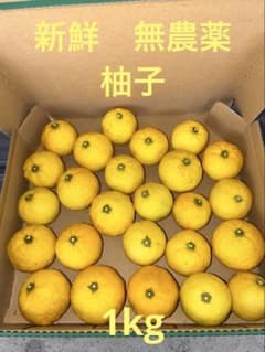 柚子のサムネイル