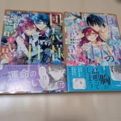 団長様の甘い誘惑1巻 2巻セットのサムネイル
