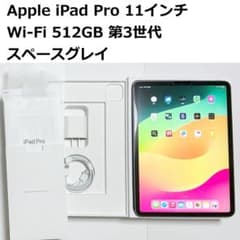 Apple iPad Pro 11インチWi-Fi 512GB 第3世代+おまけ - メルカリ