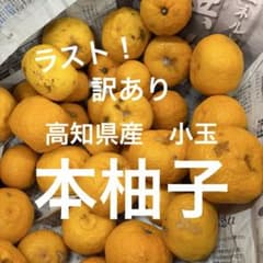 高知県産 本柚子 小玉 訳あり2キロ - メルカリ