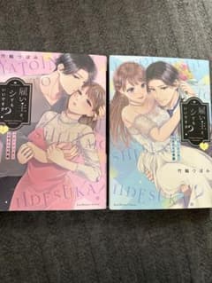 雇い主と、シてもいいですか？　上下巻セット 竹輪つぼみのサムネイル
