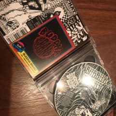 これがブッダブランド! 初回限定盤　インスト付きのサムネイル