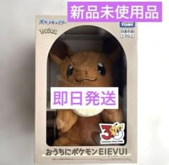 [매진품] 집에 포켓몬 이브이 봉제인형 포켓몬 30주년 한정