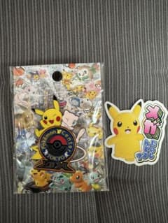 ポケモンセンター TOKYOピカチュウ ピンズのサムネイル