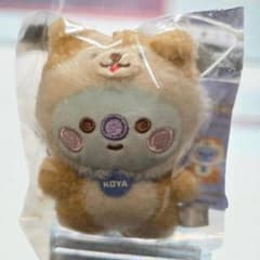 [신품] BT21 시부야 한정 벌공 마스코트 KOYA