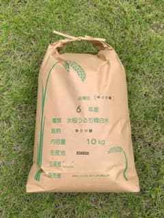 新米　新潟県産「ゆきの精」  令和6年産　精米10kgのサムネイル