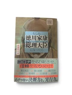 もしも徳川家康が総理大臣になったら 眞邊明人のサムネイル