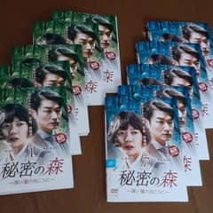 韓国ドラマ　秘密の森～深い闇の向こうに～全12巻DVDのサムネイル