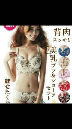 脇肉キャッチャー ブラジャー ショーツ 80CDのサムネイル