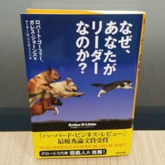なぜ、あなたがリーダーなのか?のサムネイル
