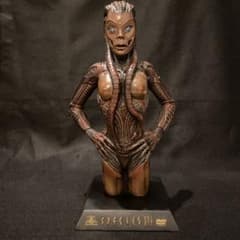 m16167262324_1.jpg?1675787552