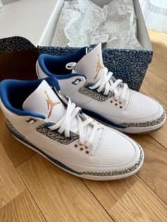 Nike エアジョーダン3 レトロ トゥルーブルー and コッパー