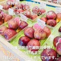 \\滋賀県認定「くだもの作り名人」がつくる// 最高級いちじく(無花果)4パックのサムネイル