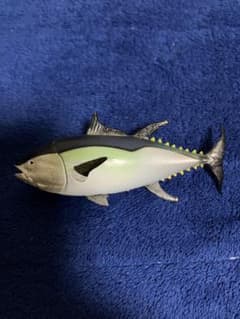 海洋堂 マグネット水族館 日本の食用魚 クロマグロのサムネイル