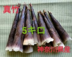 ◆タケノコ◆筍◆真竹◆5kg程度◆神奈川県発◆取れ次第◆のサムネイル